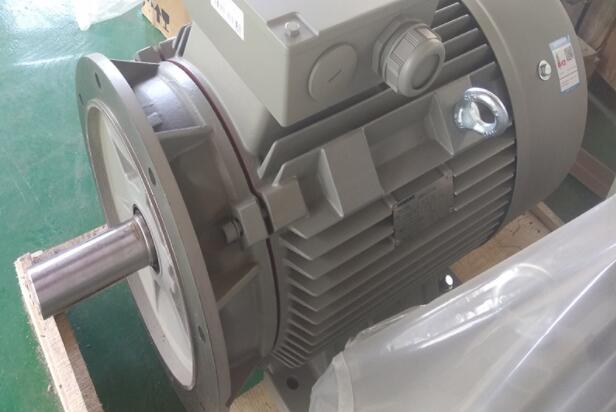 減速單相電機是哪種類型的電機？