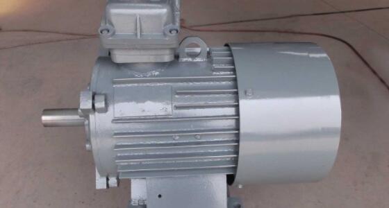 luson電機(jī)luson馬達(dá)怎么選擇和購(gòu)買